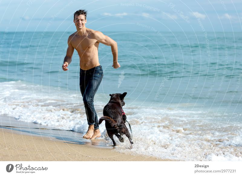 young male playing with dog on beach during sunrise Lifestyle Joy Happy Leisure and hobbies Playing Vacation & Travel Summer Beach Ocean Human being Masculine
