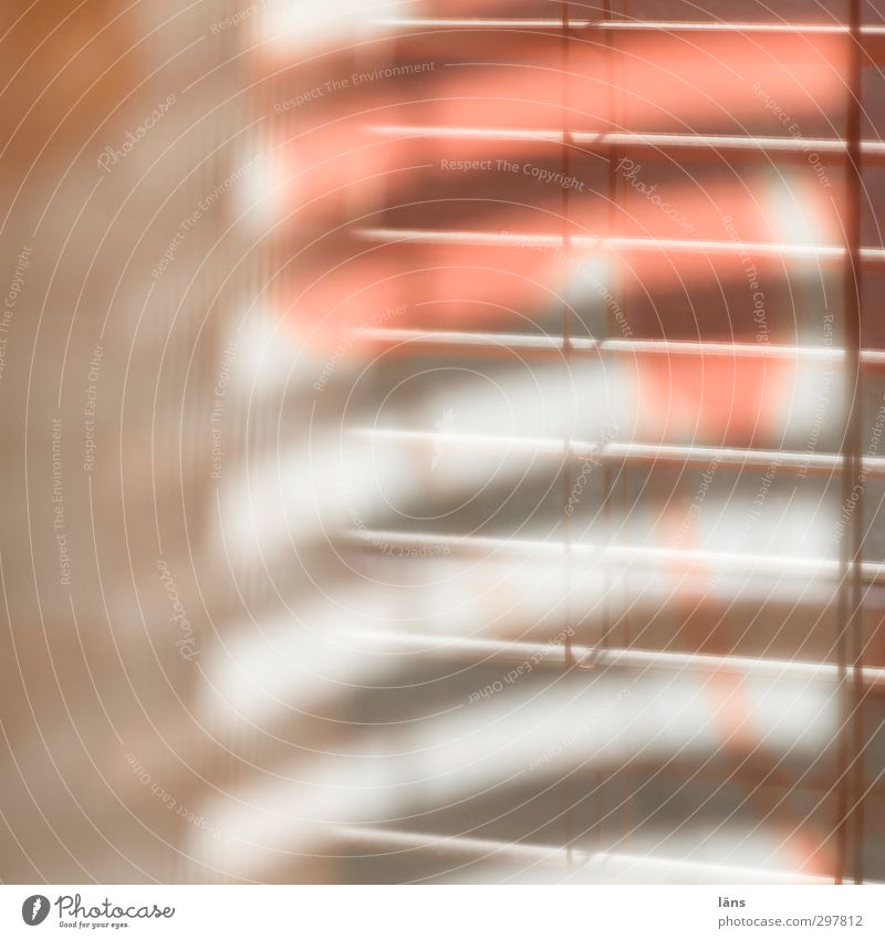 actually orange Window Hang Design Moody Venetian blinds Curtain Orange Shaft of light Screening Colour photo Interior shot Pattern Structures and shapes