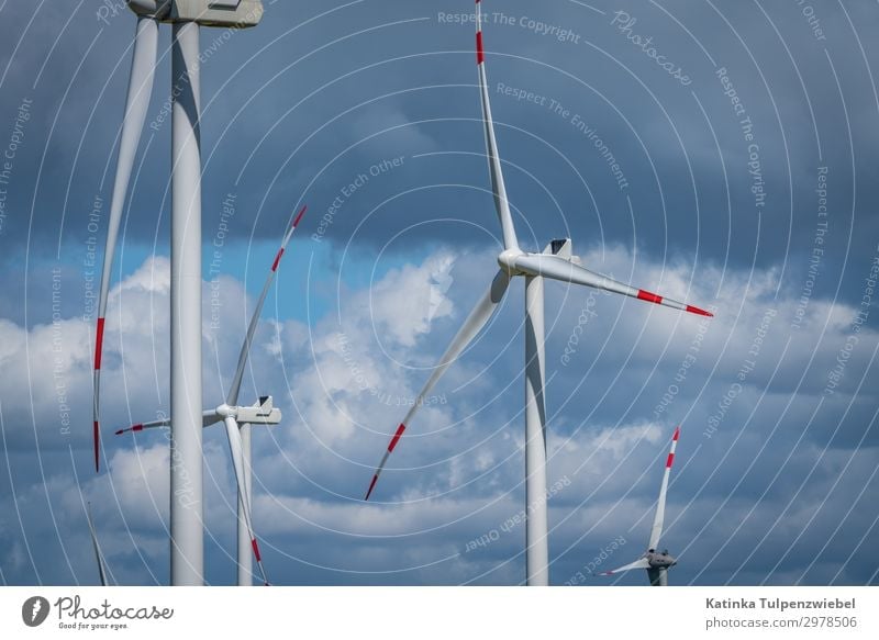 Windkraft in Norddeutschland Technology Energy industry Renewable energy Wind energy plant Industry Environment Nature Landscape Elements Cloudless sky Clouds