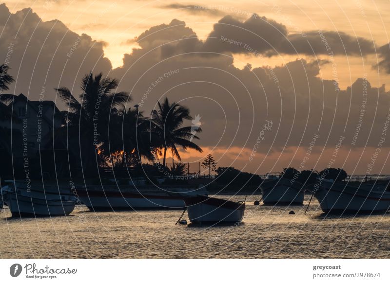 A small bay in Mauritius with several anchored boats at dusk Vacation & Travel Summer vacation Ocean Landscape Night sky Sunrise Sunset Brook Dinghy