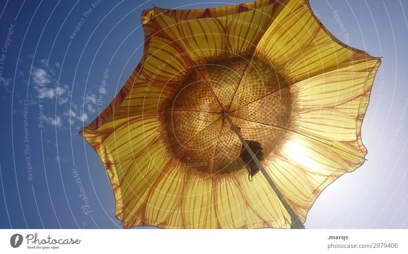 Sunflower parasol Summer vacation Vacation mood Sky Hot Sunshade recover Vacation & Travel Sunlight Beautiful weather Panorama (Format)