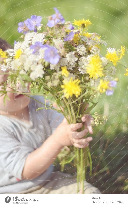On Mother's Day Feasts & Celebrations Birthday Human being Child Toddler Infancy 1 1 - 3 years Plant Spring Summer Beautiful weather Flower Blossom Garden