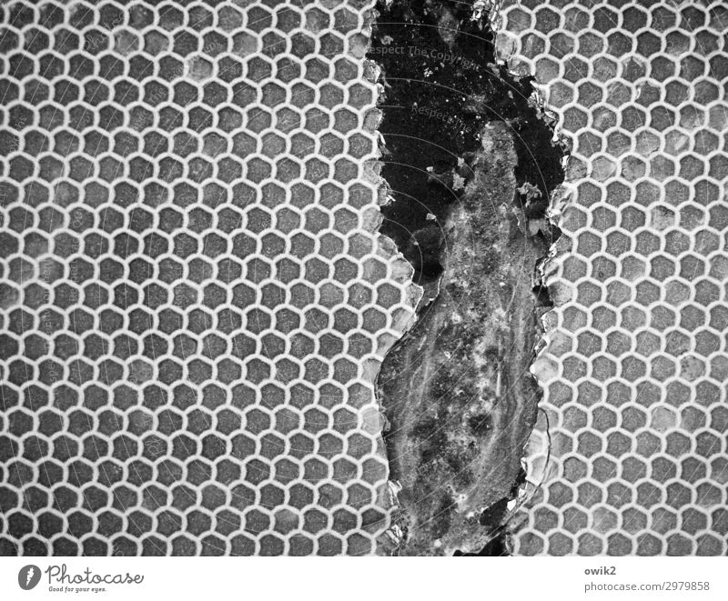 malfunction Honeycomb pattern Disturbed Plastic Decline Transience Destruction Black & white photo Exterior shot Close-up Detail Pattern Structures and shapes