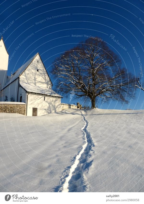 Winter path... Beautiful weather Snow Tree Alps Mountain Samerberg Bavaria Church Lanes & trails Esthetic Fresh Cold White Contentment Loneliness Relaxation