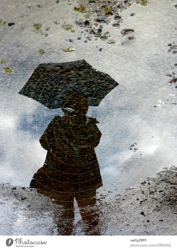 With umbrella (charm and melon...) Human being Feminine 1 Dirty Cold Wet Umbrellas & Shades Rain Puddle Asphalt Stone Mud Reflection Colour photo Subdued colour