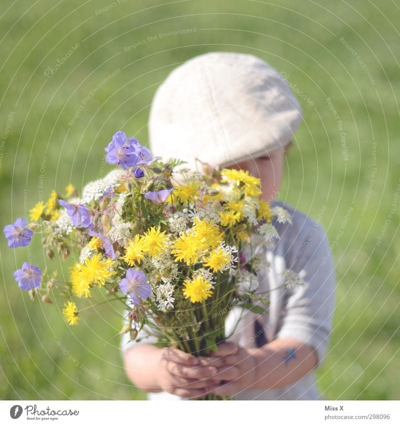 shy Valentine's Day Mother's Day Birthday Human being Child Toddler 1 1 - 3 years 3 - 8 years Infancy Spring Summer Flower Blossom Garden Meadow Blossoming