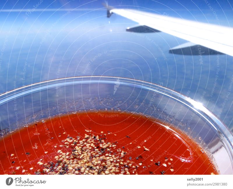 Tomato juice above the clouds... Airplane Beverage Salt Pepper Plastic cup View from the airplane Wing winglet Red salubriously Cliche Sunlight Blue sky Flying