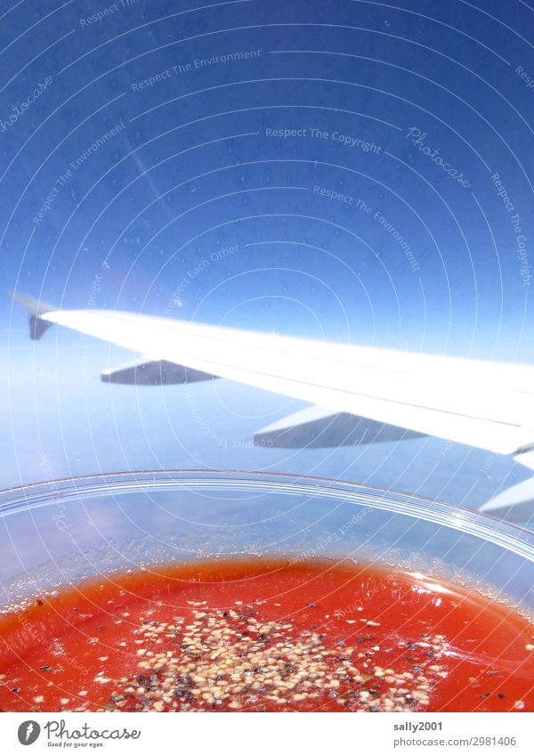 Tomato juice please... Beverage Juice Cloudless sky Aviation Airplane Passenger plane In the plane View from the airplane Wing Flying Drinking Healthy Above Red