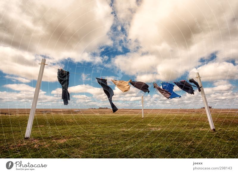 Laundry hangs on clothesline outside to dry Dry Washing air-dried Landscape Sky Clouds Horizon Summer Hang up Beautiful weather Wind Meadow Island Holm hooge
