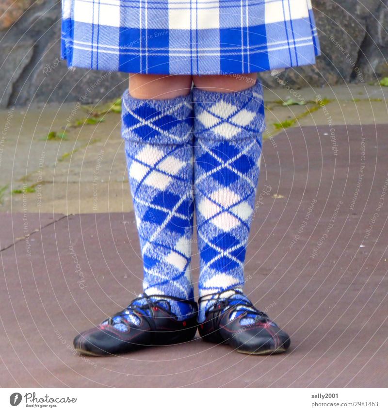 Haute couture | scottish style... Knee sock diamonds Checkered Dance Dancing shoes burlington Blue royal blue ballet Fashion traditionally Scottish Scotland