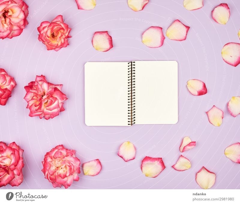 open notebook with white blank pages Design Decoration Feasts & Celebrations Wedding Birthday Workplace Business Book Plant Flower Blossom Paper Bouquet Love