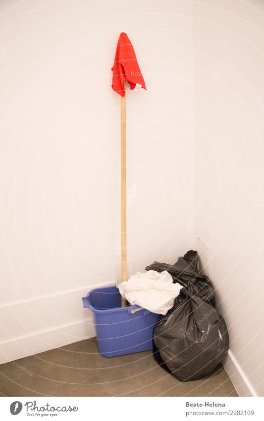 still life Gastronomy scrubbing brush Floor cloth Bucket Cleaning agent Garbage bag Work and employment Esthetic Wet Blue Red Power Determination