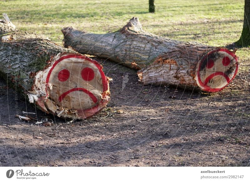 felled tree trunks with sad smiley graffiti Environment Nature Landscape Tree Park Forest Sign Graffiti Sadness Grief Smiley Tree trunk Fallen Wood