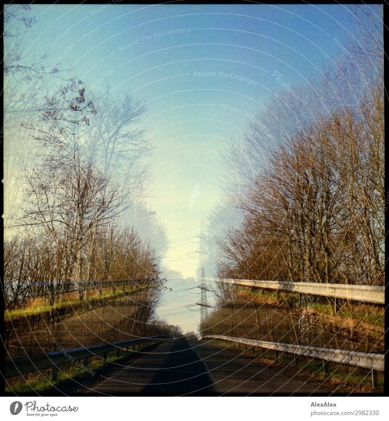 Double exposure - a road with trees leading to the bridge Environment Nature Landscape Plant Air Cloudless sky Autumn Beautiful weather Tree Forest Hill Village