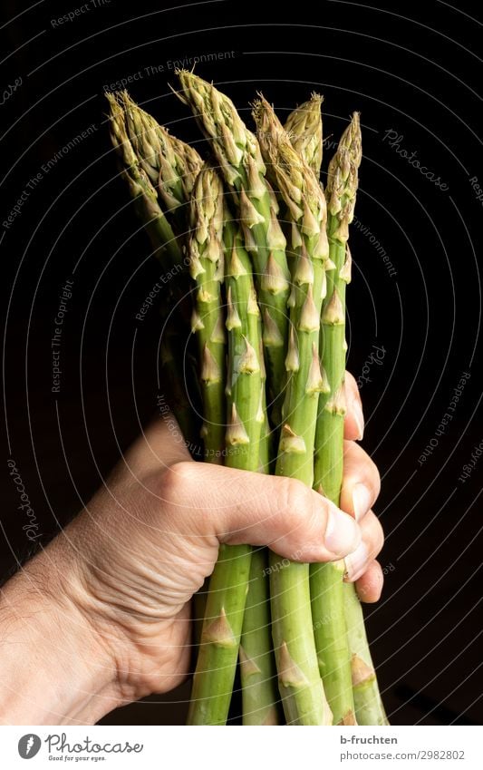 a bunch of green asparagus Food Vegetable Nutrition Organic produce Vegetarian diet Healthy Eating Cook Man Adults Hand Fingers Summer Work and employment