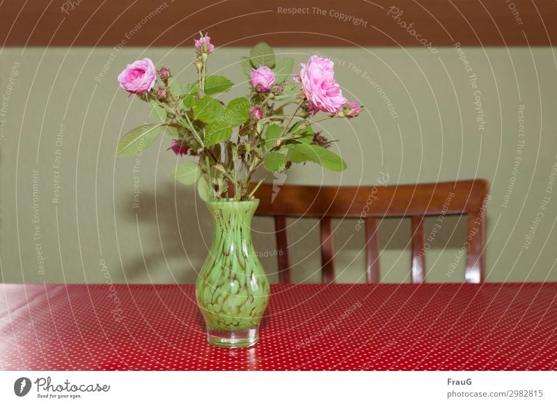 Bouquet of roses on the kitchen table Damask Rose old rose Vase with flowers bleed buds Pink Decoration Table tablecloth white dots Red Backrest spring
