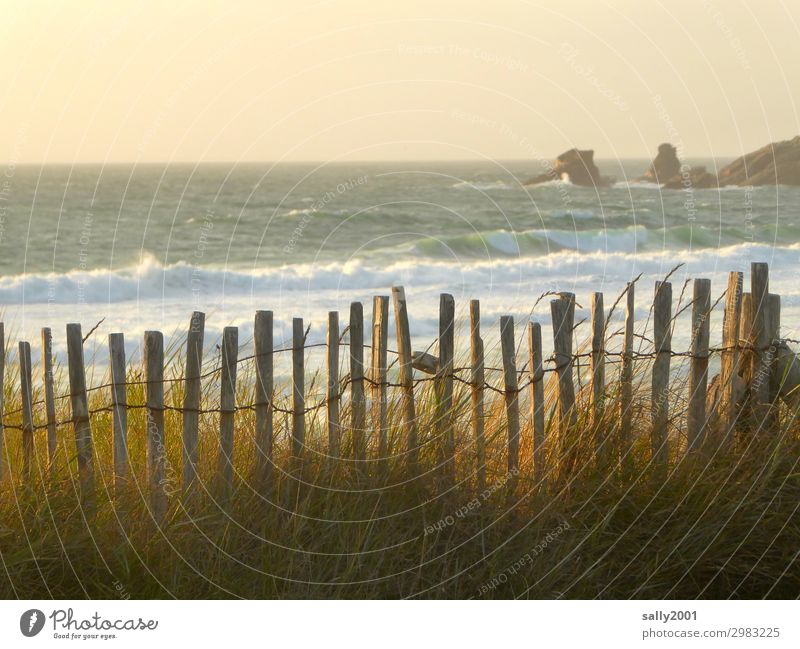 wild coast... Coast Wild Beach Surf Waves Fence Wooden fence Grass Old Rock White crest cordon Deserted Nature Force of nature Longing Romance Twilight Dusk