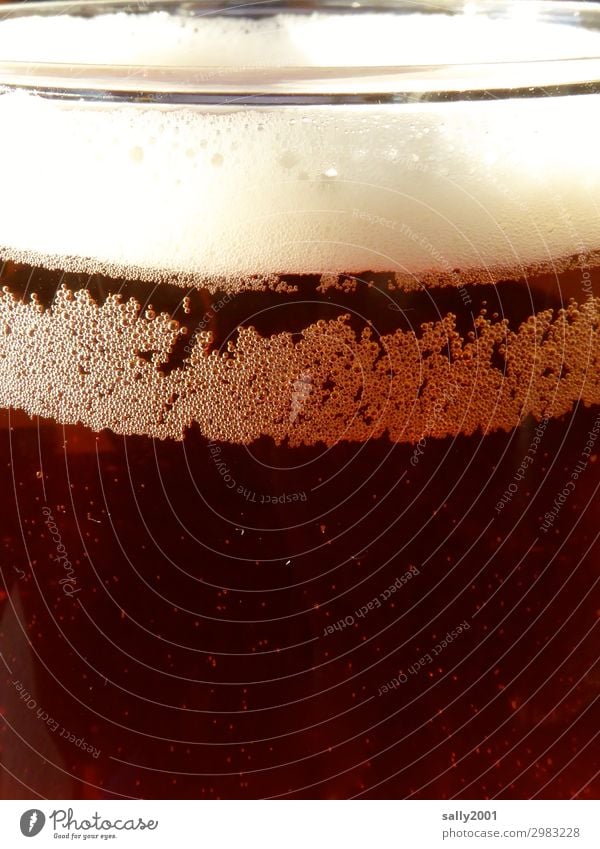 refreshing Beverage Cold drink Alcoholic drinks Beer ale Froth Carbonic acid Glass Fluid Delicious Brown Thirst Trickle Refreshment dark beer Colour photo