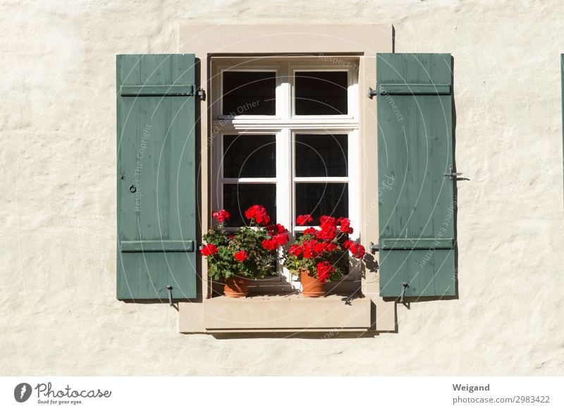 windows House (Residential Structure) Dream house Window Fragrance To enjoy Society Healthy Welcome Geranium Shutter Joie de vivre (Vitality) Country life