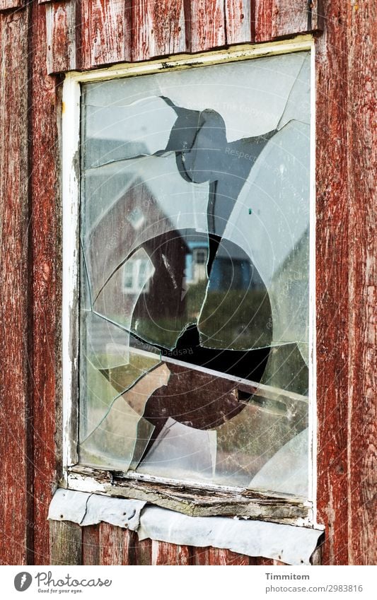 He was at work there! Vacation & Travel Fishery Denmark Fishermans hut Window Glass Aggression Broken Brown Black White Emotions Joy Anger Stupid discomfort
