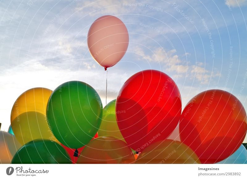A mixture of colourful balloons over a blue sky. Joy Leisure and hobbies Feasts & Celebrations Birthday Balloon Joie de vivre (Vitality) Love "abstract activity