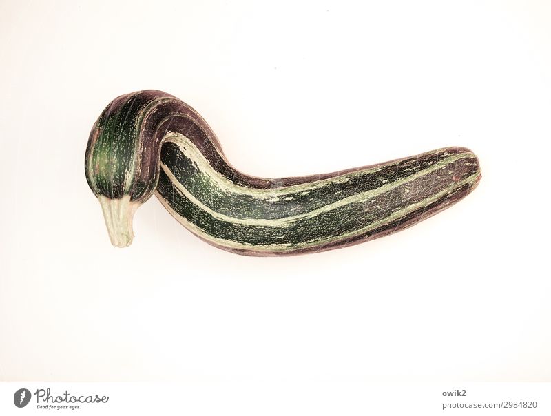 squeaky ducky Summer Zucchini Fruit Firm Healthy Long Curved Unique specimen Green Striped Vitamin Healthy Eating Vegetable Colour photo Interior shot Deserted