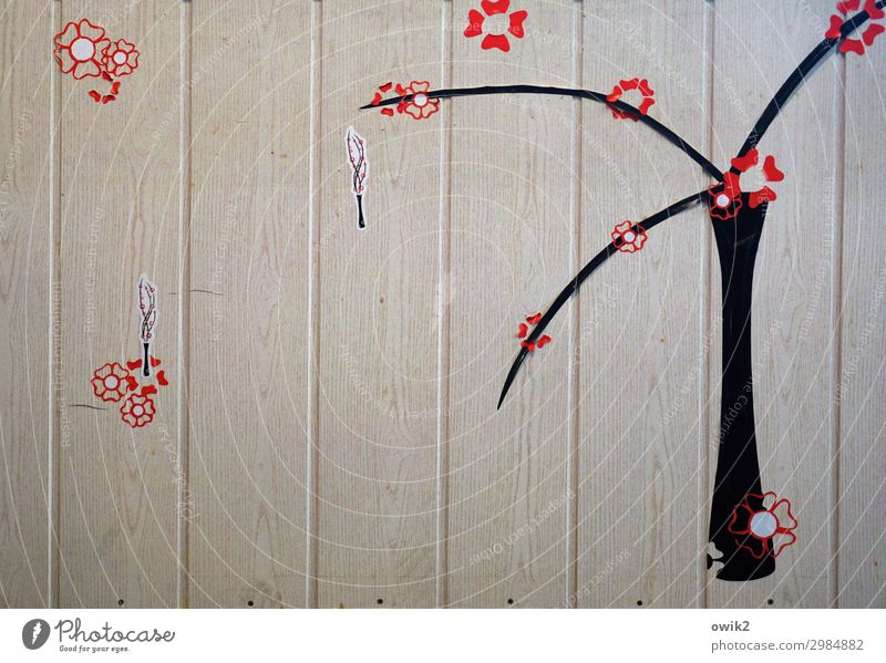 tree blossom Tree Blossom Wooden wall Label Simple Brown Red Black Hazy Sparse Thrifty Colour photo Interior shot Detail Abstract Pattern Structures and shapes