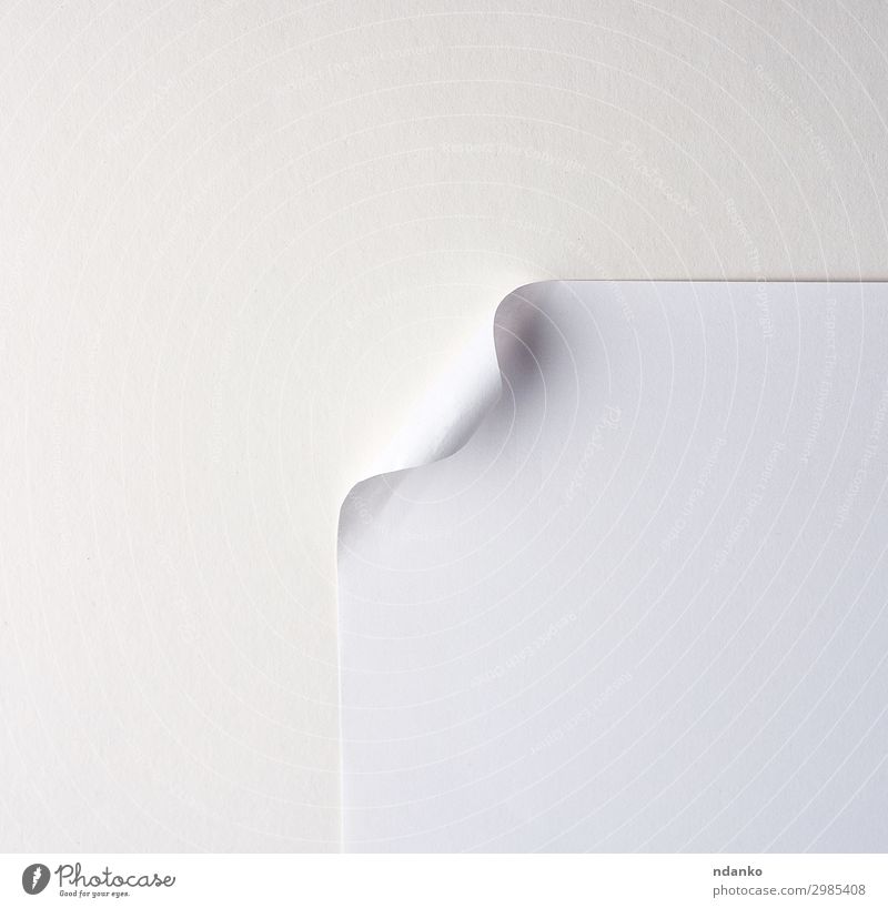 blank white sheet of paper with a curved corner Design Business Paper New Clean White background bend Blank Conceptual design Curve Document edge education