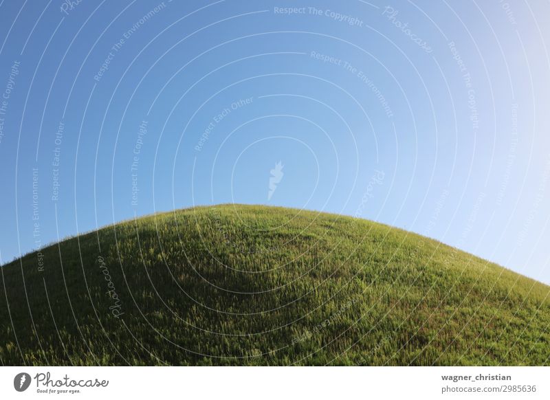 burial mound Nature Landscape Plant Sky Spring Summer Beautiful weather Park Meadow Hill Blue Green Caution Serene Calm Hope Elegant Relaxation Accuracy