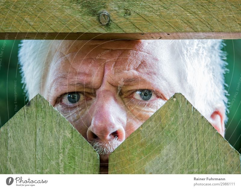 a nosy neighbor looks through a picket fence Curiosity curious Neighbor Looking Exterior shot Day Human being inquisitorial Fence Observe Straw hat