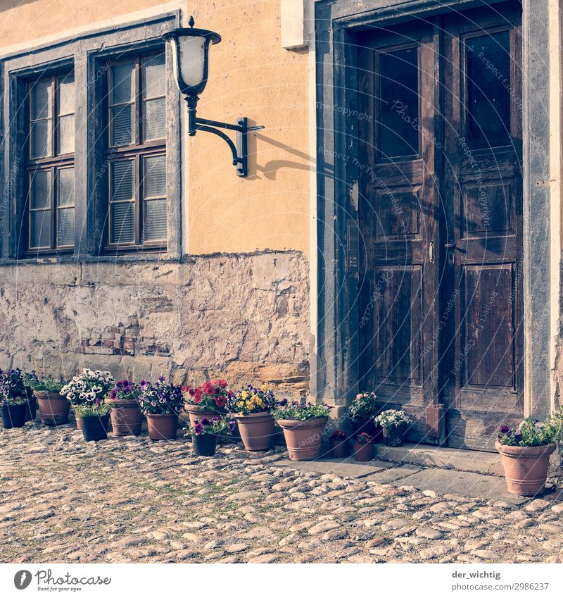 Old entrance with decoration Street lighting Plant Summer Beautiful weather Flower Pot plant Village Town Old town Deserted House (Residential Structure) Window