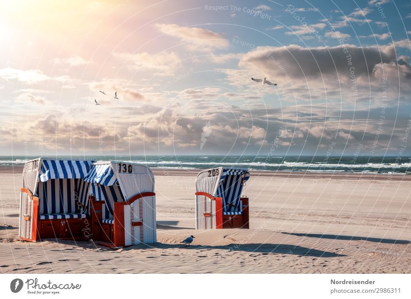 Beach chairs at the North Sea Vacation & Travel Tourism Summer Summer vacation Sun Sunbathing Ocean Waves Sand Water Sky Clouds Beautiful weather Baltic Sea