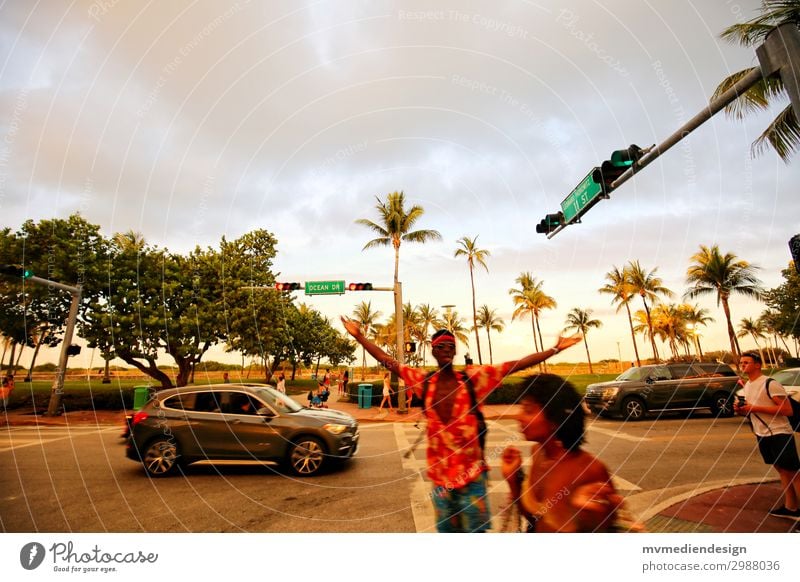 Miami Beach - Ocean Drive Street Hip & trendy Palm tree USA Florida Party Sun Colour photo Exterior shot