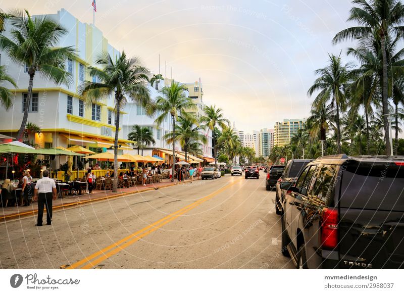 Miami Beach Building Architecture Street Warmth USA Florida Palm tree Shopping Restaurant Colour photo Exterior shot