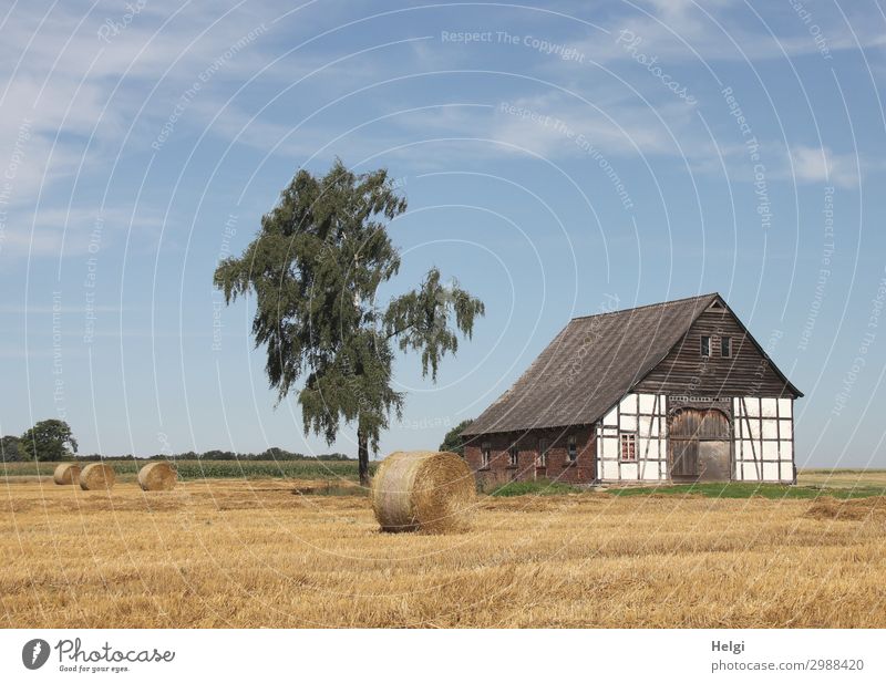 historical half-timbered building stands at a harvested field with bales of straw Environment Nature Landscape Plant Sky Summer Beautiful weather Tree