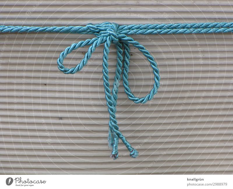 ribbon around... ready! Bow Firm Gray Green Emotions Anticipation Curiosity Surprise Expectation Creativity String Packaged Colour photo Exterior shot Deserted
