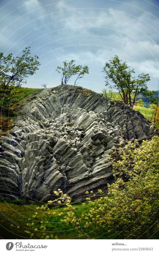 Basalt fans on the Hirtstein in the Erzgebirge Erz Mountains shepherd's stone fan basalt basalt formation Spring geotopic Rock volcanic rock mountain