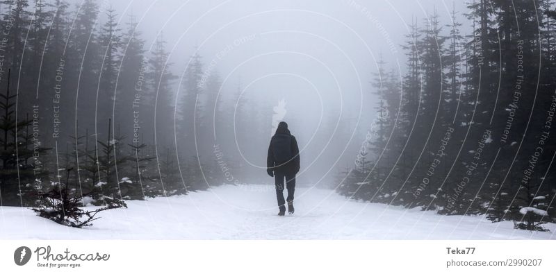 winter hiker Winter Hiking Environment Nature Landscape Plant Animal Ice Frost Snow Snowfall Adventure Man Exterior shot Subdued colour Twilight