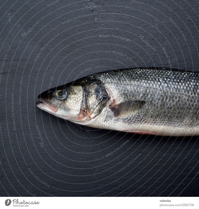 fresh whole sea bass fish on black background - a Royalty Free Stock Photo  from Photocase