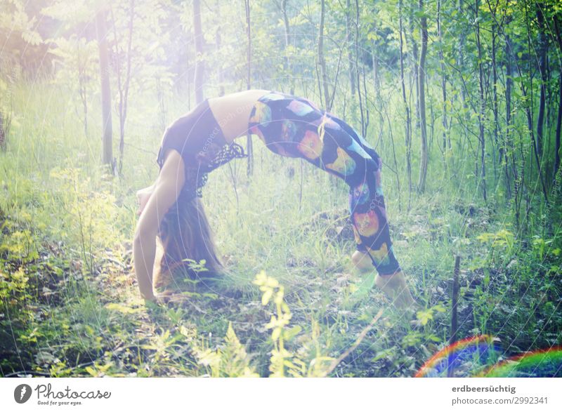 Bridge in the forest Athletic Fitness Life Yoga Feminine Body 18 - 30 years Youth (Young adults) Adults Nature Sunlight Tree Grass Bushes Forest Leggings Sports