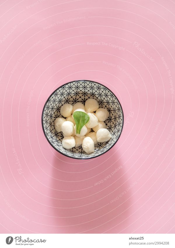 Mozzarella cheese bowl on pink background Cheese Bowl Ball Leaf Fresh Small Delicious Natural Pink White Tradition Buffalo close food healthy Ingredients