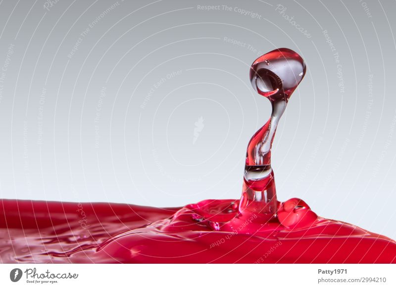 water sculpture Water Drops of water Fluid Glittering Wet Clean Gray Red Movement Bizarre Creativity Whimsical Abstract splash Transparent Colour photo