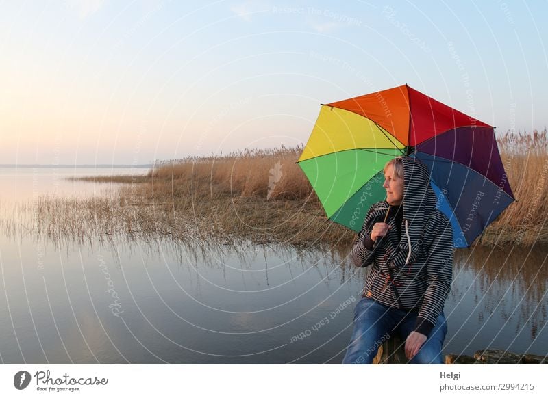 Woman sitting with a colorful umbrella in the evening light at the lake Human being Feminine Adults Female senior Senior citizen 1 60 years and older