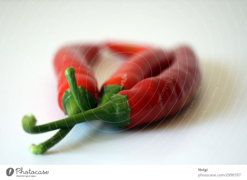 three red chillies with green stems lie side by side on a white background Food Vegetable Chili Nutrition Lie Simple Fresh Healthy Small Natural Point Green Red