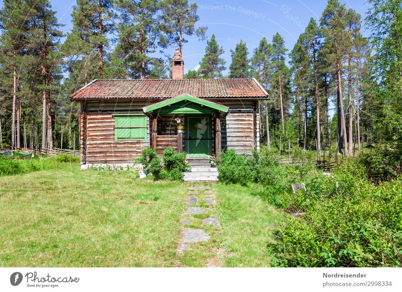 Swedish idyll Vacation & Travel Tourism Garden Nature Cloudless sky Sun Summer Beautiful weather Tree Grass Bushes Meadow Forest Outskirts Hut