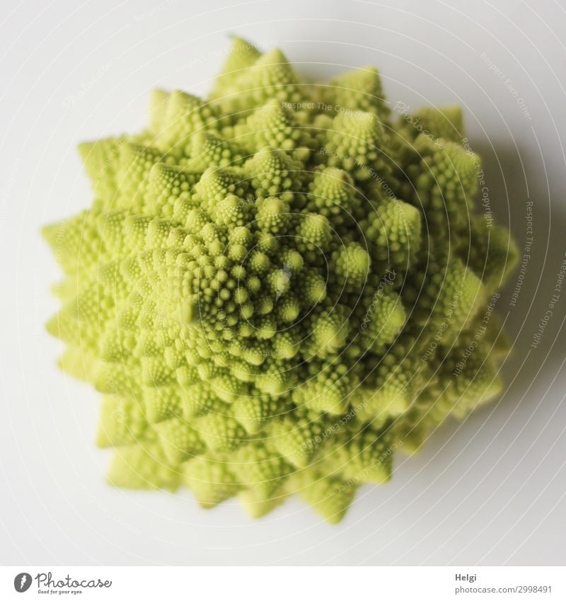 green Romanesco cabbage with fractal structures Food Vegetable Nutrition Vegetarian diet Lie Exceptional Uniqueness Natural Green White Esthetic Bizarre Nature