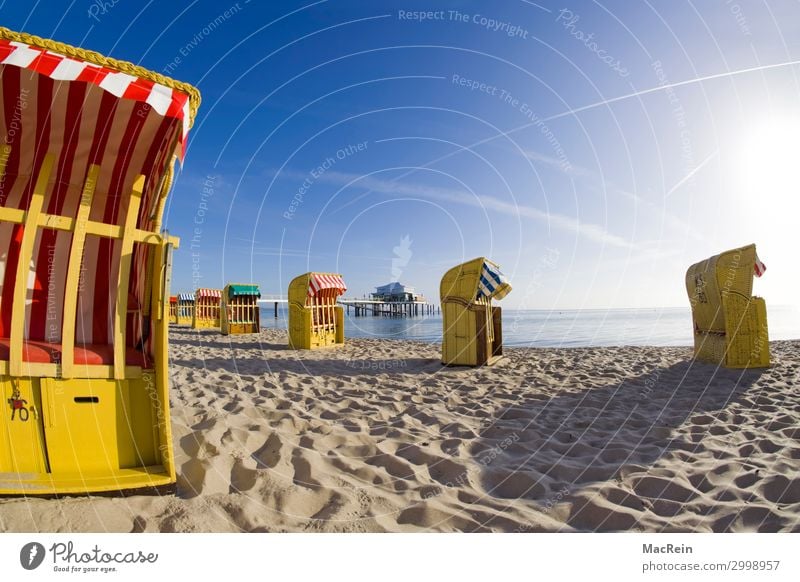 Beach chairs in the morning sun Summer Sand To enjoy Communicate Sleep Swimming & Bathing Playing Dive Contentment Vacation & Travel Leisure and hobbies Joy