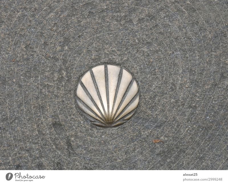 St. James shell symbol of the way Vacation & Travel Trip Street Stone Religion and faith arrow background camino catholic compostela direction Holy jacobean