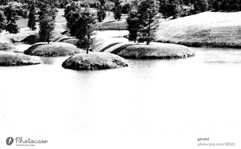 Black & White Nature 4 Tree Hill Grass Gray Lake Lawn sword Garden Japan Water Island