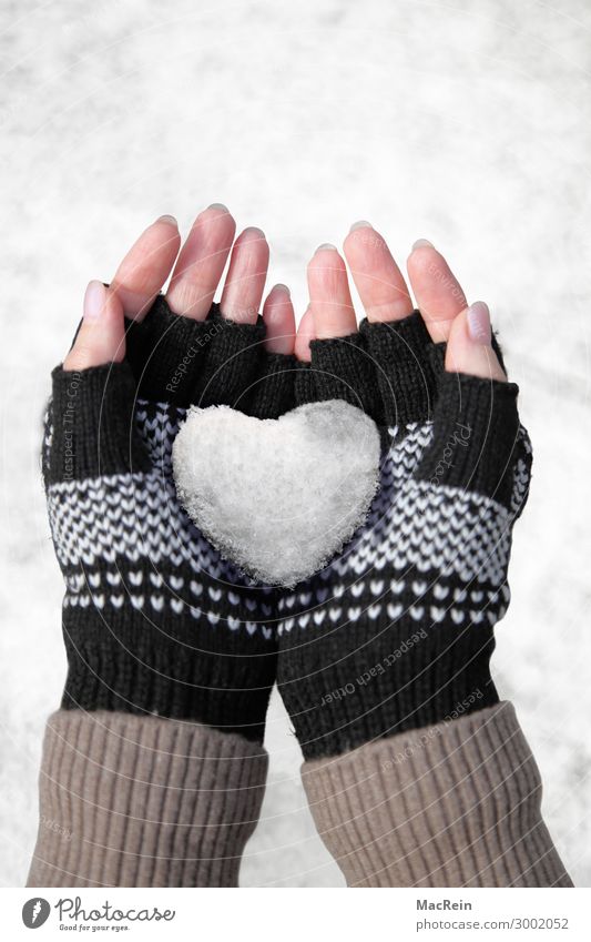 Snow heart in your hand Playing Winter Human being Woman Adults Hand Gloves Heart Love Cold Clean White Emotions Heart-shaped Fingers Retentive Colour photo